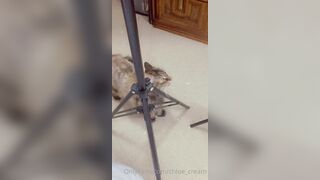 [87 of 96 Videos] Chloe_cream (Chloe Cream aka chloecream00 aka chloecreme) OnlyFans Leaks Blondie College Student