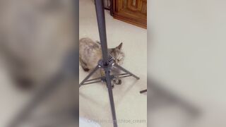 [87 of 96 Videos] Chloe_cream (Chloe Cream aka chloecream00 aka chloecreme) OnlyFans Leaks Blondie College Student