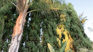 [187 of 188 Videos] Aidrafoxx (Aidra Fox aka xAIDRAFOXx) OnlyFans Leaks Home of the Best OF Content