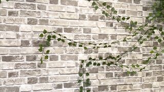 [93 of 188 Videos] Aidrafoxx (Aidra Fox aka xAIDRAFOXx) OnlyFans Leaks Home of the Best OF Content