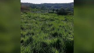 [120 of 179 Videos] Siennagarciaog (Sienna Garcia aka samuelandsienna) OnlyFans Leaks nofacefantasy