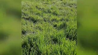 [120 of 179 Videos] Siennagarciaog (Sienna Garcia aka samuelandsienna) OnlyFans Leaks nofacefantasy