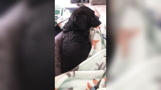 [138 of 178 Videos] Maggiegreenlive (Maggie Green Cougar Time) OnlyFans Leaks Famous 34H Milf Tits