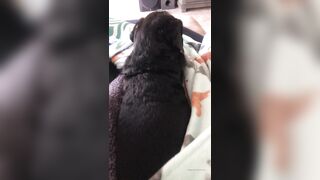 [138 of 178 Videos] Maggiegreenlive (Maggie Green Cougar Time) OnlyFans Leaks Famous 34H Milf Tits