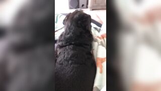 [138 of 178 Videos] Maggiegreenlive (Maggie Green Cougar Time) OnlyFans Leaks Famous 34H Milf Tits