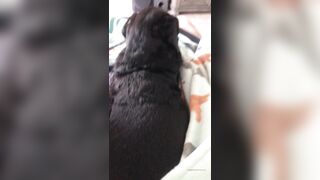 [138 of 178 Videos] Maggiegreenlive (Maggie Green Cougar Time) OnlyFans Leaks Famous 34H Milf Tits