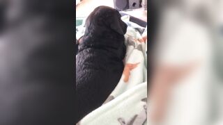 [138 of 178 Videos] Maggiegreenlive (Maggie Green Cougar Time) OnlyFans Leaks Famous 34H Milf Tits