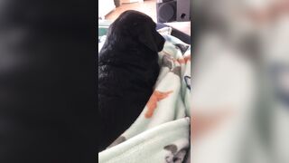 [138 of 178 Videos] Maggiegreenlive (Maggie Green Cougar Time) OnlyFans Leaks Famous 34H Milf Tits