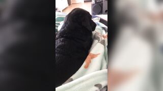 [138 of 178 Videos] Maggiegreenlive (Maggie Green Cougar Time) OnlyFans Leaks Famous 34H Milf Tits