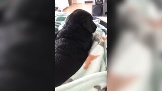 [138 of 178 Videos] Maggiegreenlive (Maggie Green Cougar Time) OnlyFans Leaks Famous 34H Milf Tits