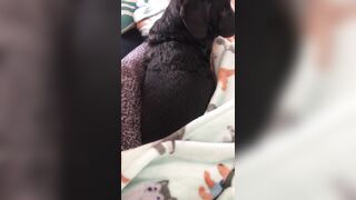 [138 of 178 Videos] Maggiegreenlive (Maggie Green Cougar Time) OnlyFans Leaks Famous 34H Milf Tits