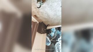 [95 of 427 Videos] Oliviamaebaee (Alliecatt aka Oliviamaebae) OnlyFans Leaks 22 yo Natural Big Booty