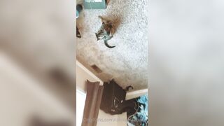 [95 of 427 Videos] Oliviamaebaee (Alliecatt aka Oliviamaebae) OnlyFans Leaks 22 yo Natural Big Booty