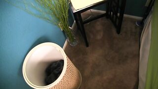 [68 of 179 Videos] Siridahl (Siri Dahl) OnlyFans Leaks Award Winning Porn Star