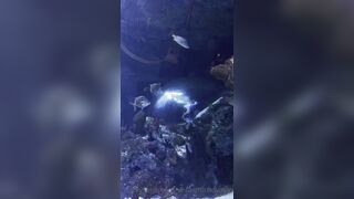 [7 of 45 Videos] Verasmirnovavip (verasmirnova aka Vera Smirnova) OnlyFans Leaks Nude Chic