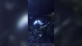 [7 of 45 Videos] Verasmirnovavip (verasmirnova aka Vera Smirnova) OnlyFans Leaks Nude Chic