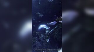 [7 of 45 Videos] Verasmirnovavip (verasmirnova aka Vera Smirnova) OnlyFans Leaks Nude Chic