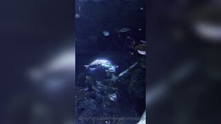 [7 of 45 Videos] Verasmirnovavip (verasmirnova aka Vera Smirnova) OnlyFans Leaks Nude Chic