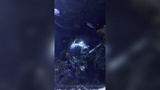 [7 of 45 Videos] Verasmirnovavip (verasmirnova aka Vera Smirnova) OnlyFans Leaks Nude Chic