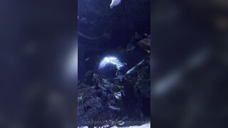 [7 of 45 Videos] Verasmirnovavip (verasmirnova aka Vera Smirnova) OnlyFans Leaks Nude Chic