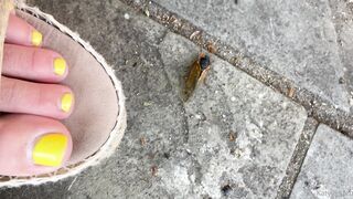 [41 of 72 Videos] Katy_belle (bellebunnybabyy) OnlyFans Leaks Nude Playboy Bunny