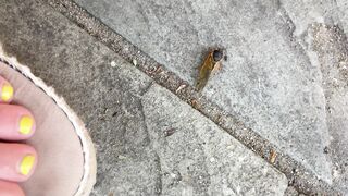 [41 of 72 Videos] Katy_belle (bellebunnybabyy) OnlyFans Leaks Nude Playboy Bunny