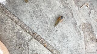 [41 of 72 Videos] Katy_belle (bellebunnybabyy) OnlyFans Leaks Nude Playboy Bunny