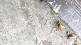 [41 of 72 Videos] Katy_belle (bellebunnybabyy) OnlyFans Leaks Nude Playboy Bunny