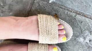 [41 of 72 Videos] Katy_belle (bellebunnybabyy) OnlyFans Leaks Nude Playboy Bunny