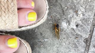 [41 of 72 Videos] Katy_belle (bellebunnybabyy) OnlyFans Leaks Nude Playboy Bunny