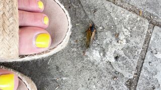 [41 of 72 Videos] Katy_belle (bellebunnybabyy) OnlyFans Leaks Nude Playboy Bunny