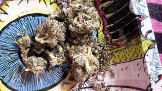 Happy420 - Kslibrarygirl (Kendra Sunderland) OnlyFans Leaks Nude