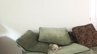 [227 of 592 Videos] Quinnfinite (Quinn Finite) OnlyFans Leaks Nude Wholesome Perv