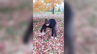 [84 of 592 Videos] Quinnfinite (Quinn Finite) OnlyFans Leaks Nude Wholesome Perv