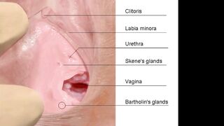 [273 of 306 Videos] Asianvixen4u (AsianClimax) OnlyFans Leaks Asian Chinese Climax Queen