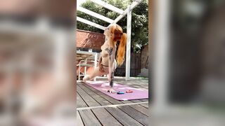 [17 of 114 Videos] Blinkksg (Blink aka Blinkk aka blinksg) OnlyFans Leaks Professional Thottery