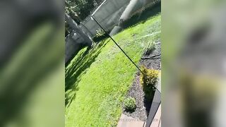 45 of 149 Videos] Kittie_cate (K_C) OnlyFans Leaks Nude Sexy Horny Girl