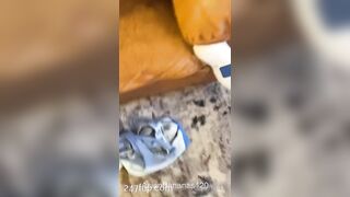 Jess (asianbananas420) Onlyfans Leaked Girl Porn Video 2