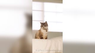 Sprout (Babysproutxo) Onlyfans Leaked Girl Porn Video 123