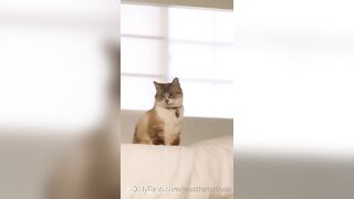 Sprout (Babysproutxo) Onlyfans Leaked Girl Porn Video 123