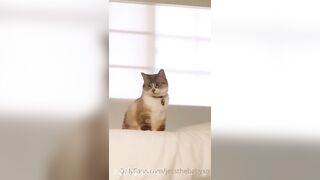 Sprout (Babysproutxo) Onlyfans Leaked Girl Porn Video 123