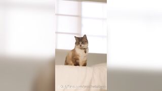 Sprout (Babysproutxo) Onlyfans Leaked Girl Porn Video 123