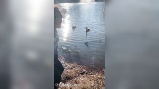 Jess (asianbananas420) Onlyfans Leaked Girl Porn Video 118