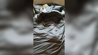 [188 of 234 Vids] Bigbootybaddi (Big Booty Baddie) OnlyFans Leaks Nude