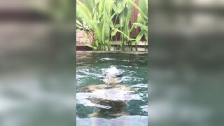 [114 of 156 Vids] Adrianachechik (Adriana Chechik) OnlyFans Leaks Nude Pro Pornstar