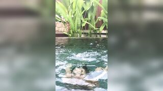 [114 of 156 Vids] Adrianachechik (Adriana Chechik) OnlyFans Leaks Nude Pro Pornstar