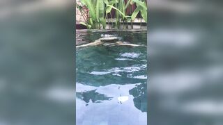 [114 of 156 Vids] Adrianachechik (Adriana Chechik) OnlyFans Leaks Nude Pro Pornstar