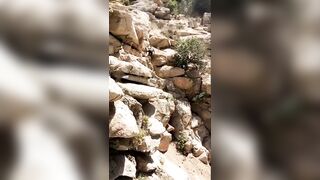 [118 of 156 Vids] Adrianachechik (Adriana Chechik) OnlyFans Leaks Nude Pro Pornstar