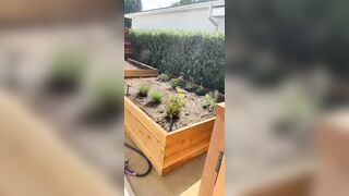 [146 of 156 Vids] Adrianachechik (Adriana Chechik) OnlyFans Leaks Nude Pro Pornstar