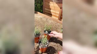 [146 of 156 Vids] Adrianachechik (Adriana Chechik) OnlyFans Leaks Nude Pro Pornstar